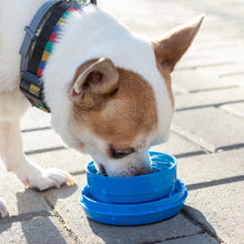 Lataa kuva Galleria-katseluun, V9H9D42A2DE437D3F21301E957840C9D84BR4145852P7