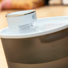 Lataa kuva Galleria-katseluun, V9HA31493DF9E3267C1986494659F1DAE1BR5279735P2