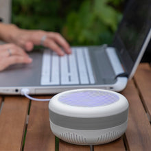 Lataa kuva Galleria-katseluun, V9H8BDCAE2124531DDEB3E32856B0487ECCR3929787P10