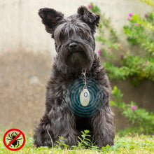 Lataa kuva Galleria-katseluun, V14H2A9F32BA91D26E59C2A199C6FD9E8B13R5434219P1
