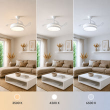 Lataa kuva Galleria-katseluun, V9HFC4C6CD83728FAA36FCEBF97141E090ER7840438P4
